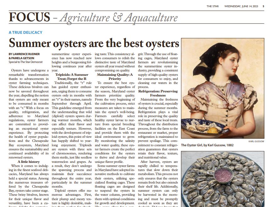 Summer Oysters